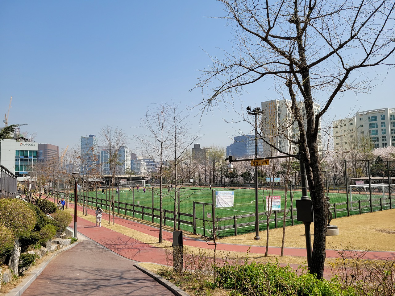 的拼搏精神 的拼搏精神