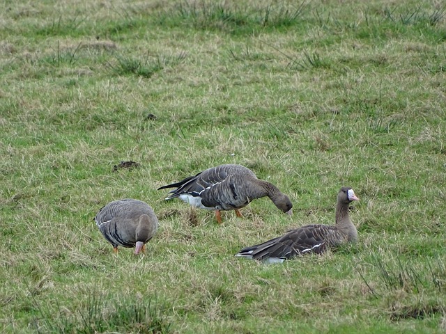 继续向前发 继续向前发