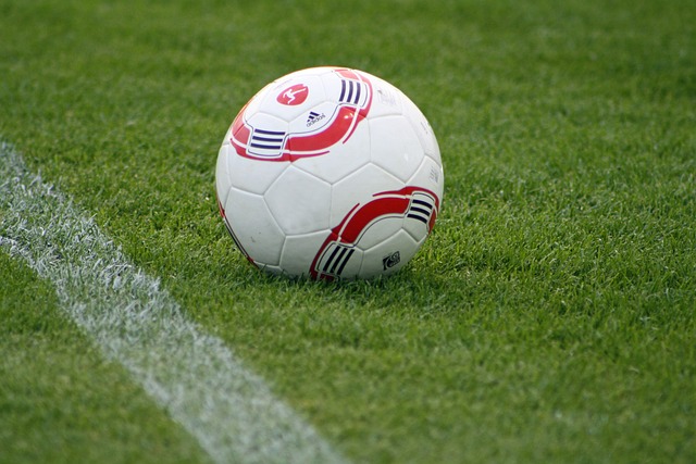 大藤沙月组合击败香港组合获胜.