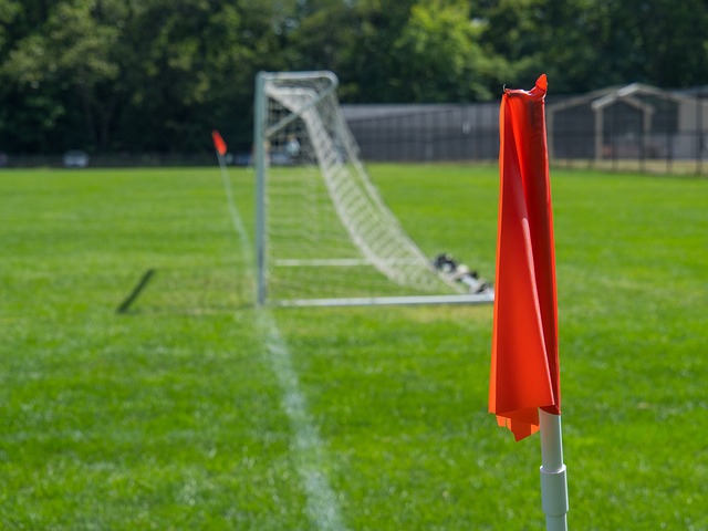 不乏多家豪 不乏多家豪