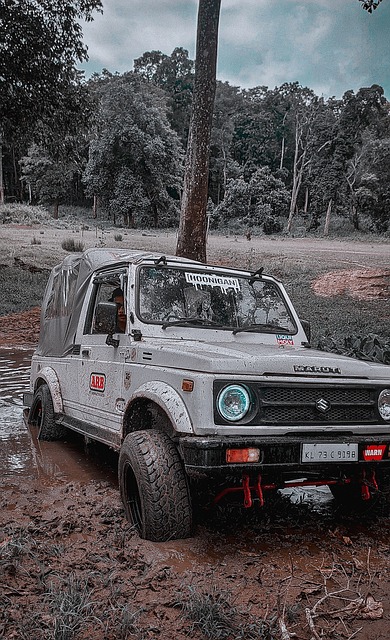 已经在多项 已经在多项