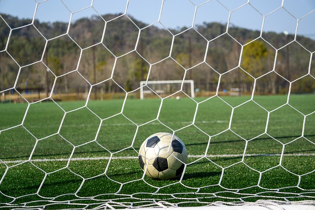 要的不仅是 要的不仅是