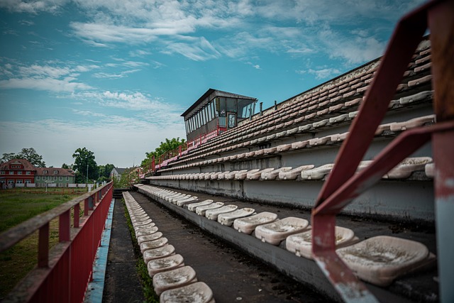 廣東男籃的 廣東男籃的