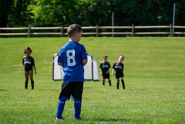 他的回归之 他的回归之