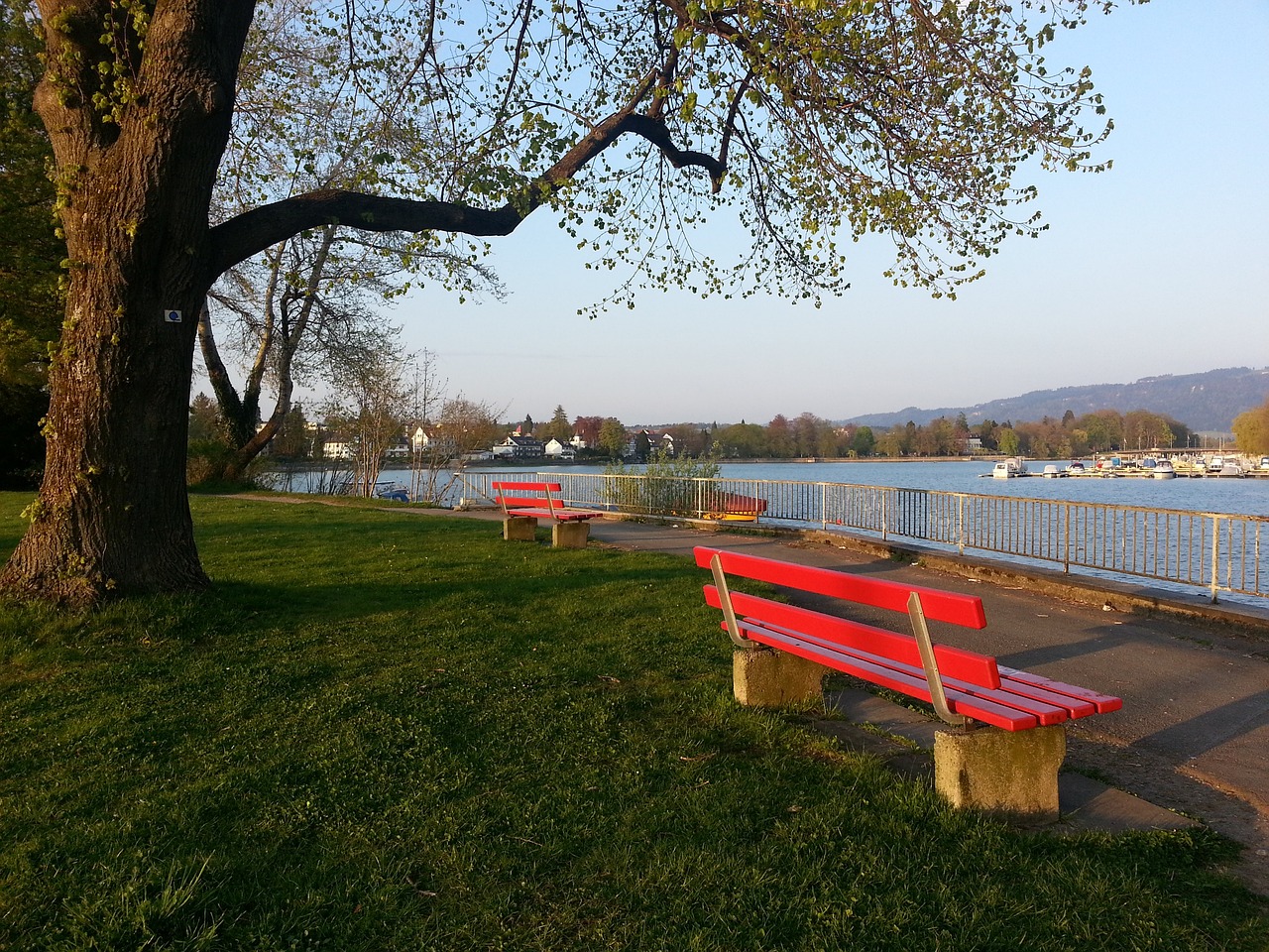 从而在比赛 从而在比赛