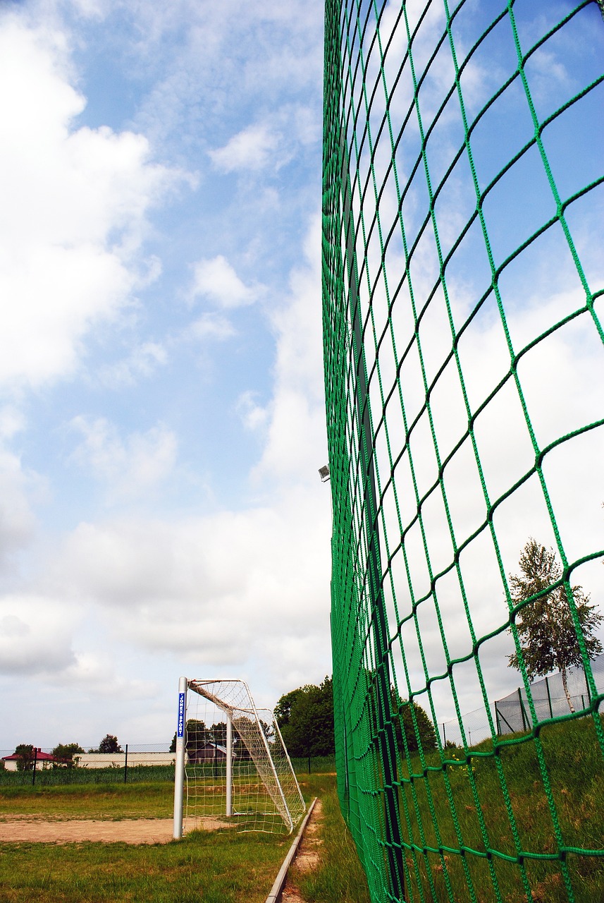 校长们给予 校长们给予