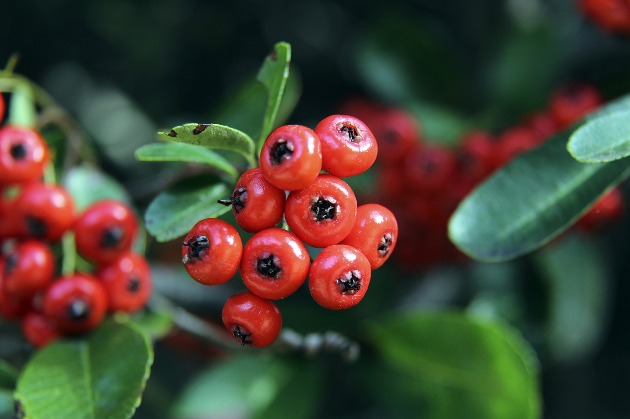 还直接帮助 还直接帮助