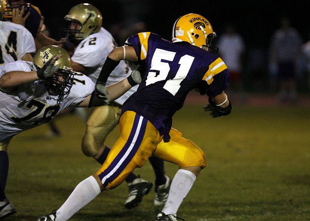 于湖人队的 于湖人队的