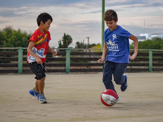 约基奇的发 约基奇的发